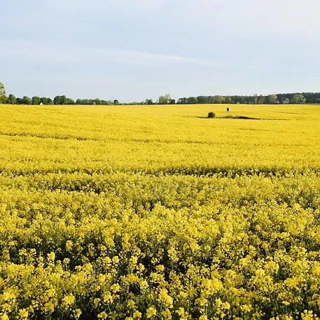 A6 Pine Hill - Mit Großem Bad&großem überdachtem Balkon, Vom Wohn- Und Schlafzimmer Aus Begehbar Apartment *