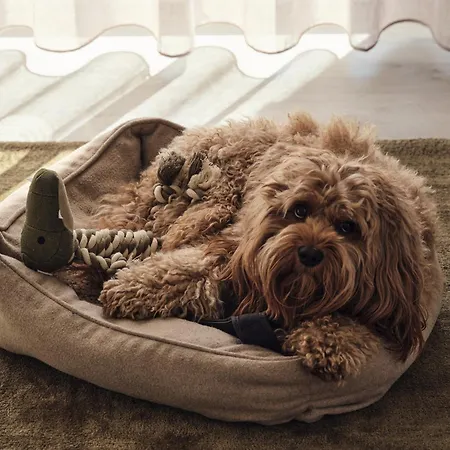 Apartment A6 Pine Hill - Mit Großem Bad&großem überdachtem Balkon, Vom Wohn- Und Schlafzimmer Aus Begehbar *